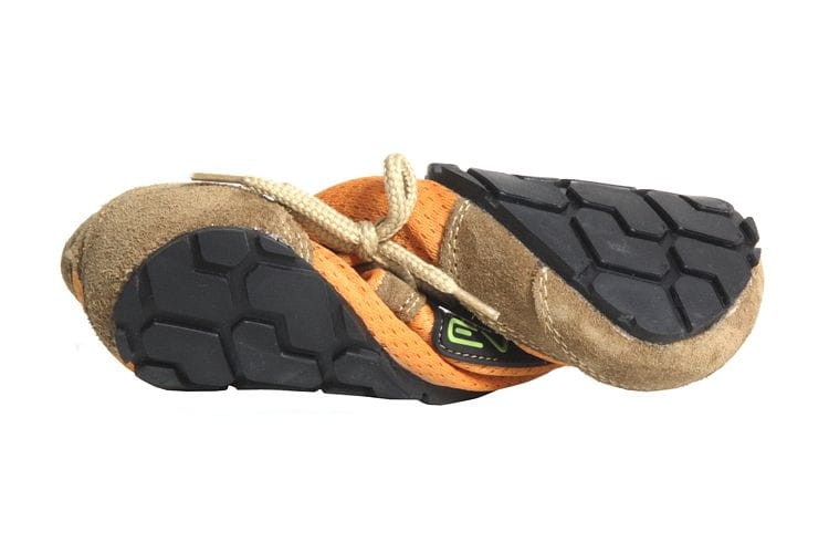 PrimalEvo kids orange h.jpg